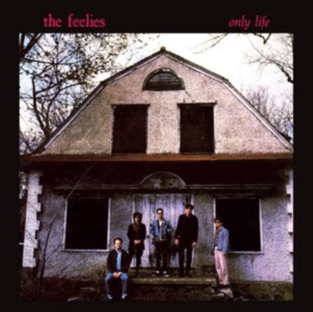 Feelies