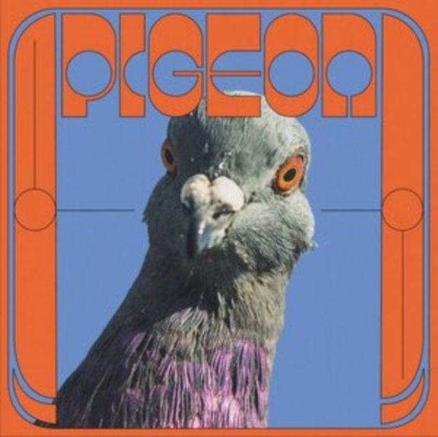 Pigeon