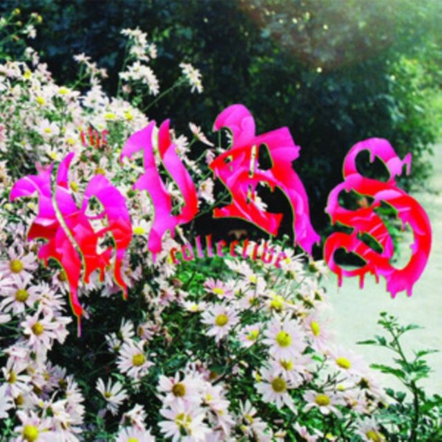 Hirs Collective