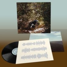 Ty Segall