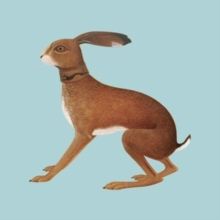 Vashti Bunyan
