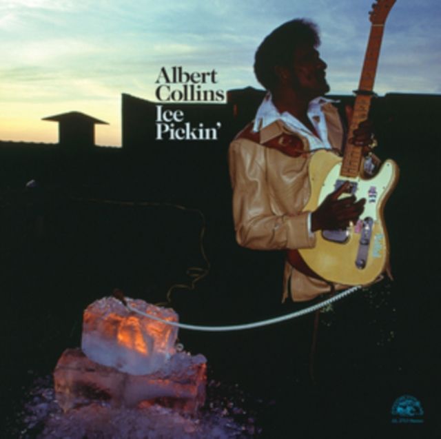Albert Collins Albert Collins