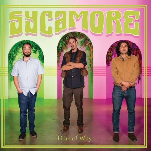 Sycamore