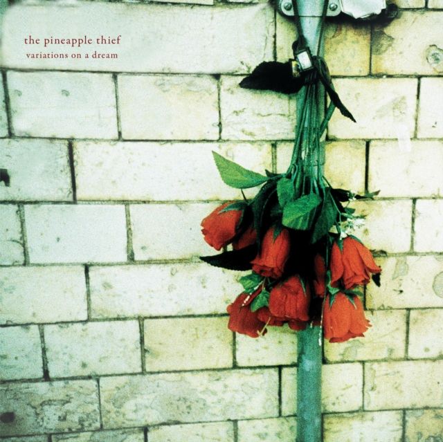 Pineapple Thief