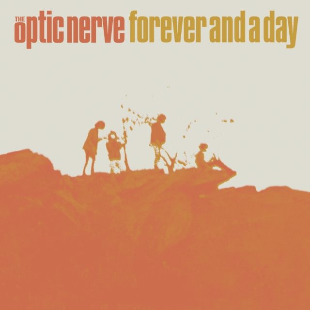 Optic Nerve