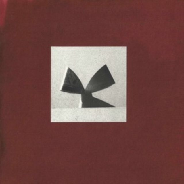 Flaer