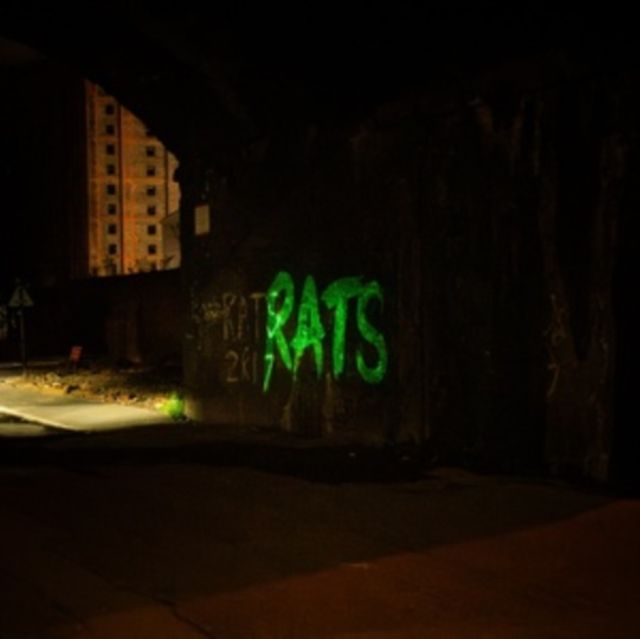 Rats