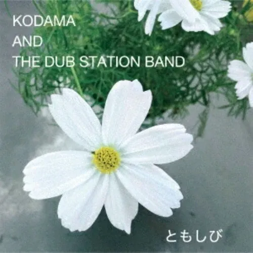 Kodama And The Dub Station Band