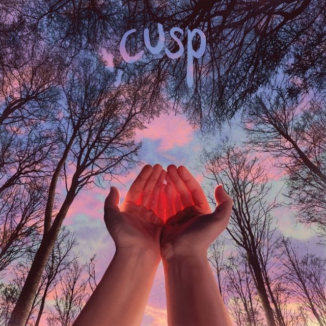 Cusp