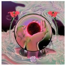 Magdalena Bay Magdalena Bay