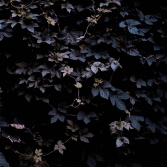 Michael Vallera Michael Vallera