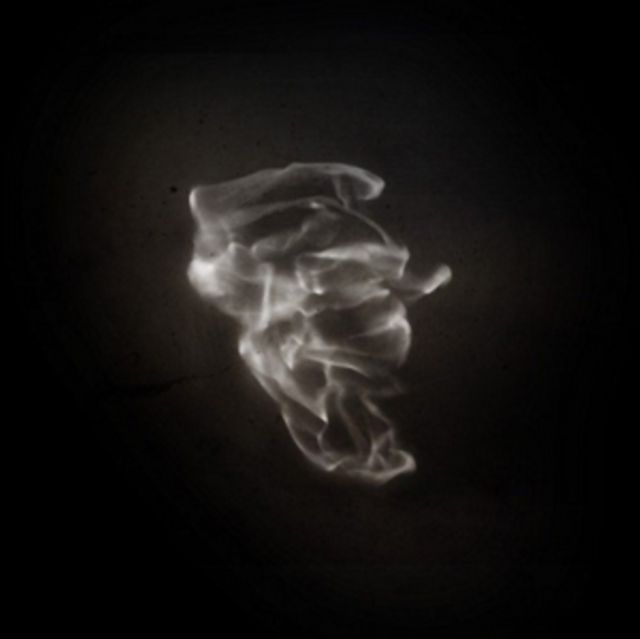 Hydras Dream Hydras Dream