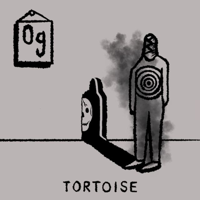Tortoise