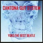 Cantona Gut System