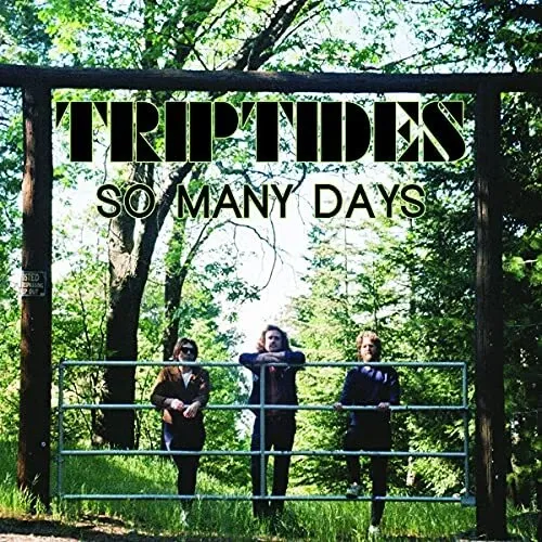 Triptides