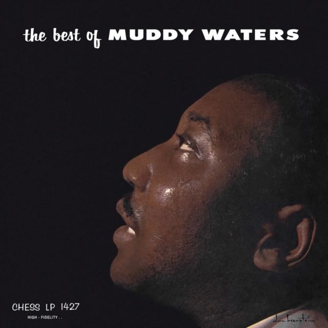 Muddy Waters