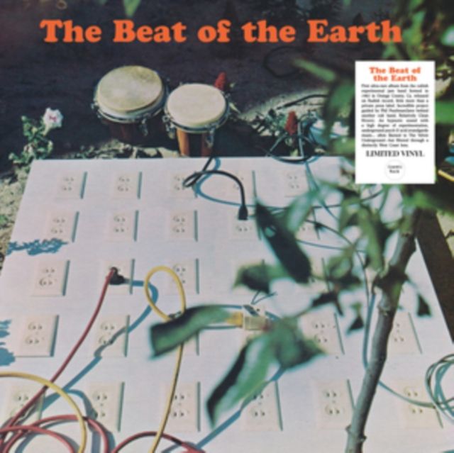 Beat Of The Earth