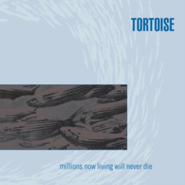 Tortoise