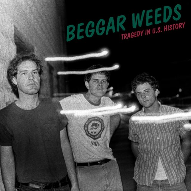 Beggar Weeds