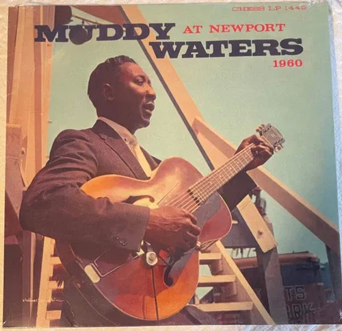 Muddy Waters