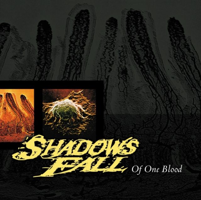 Shadows Fall Shadows Fall