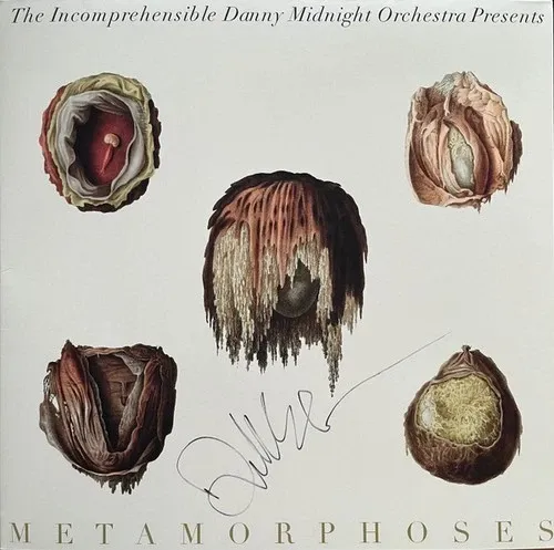 Incomprehensible Danny Midnight Orchestra