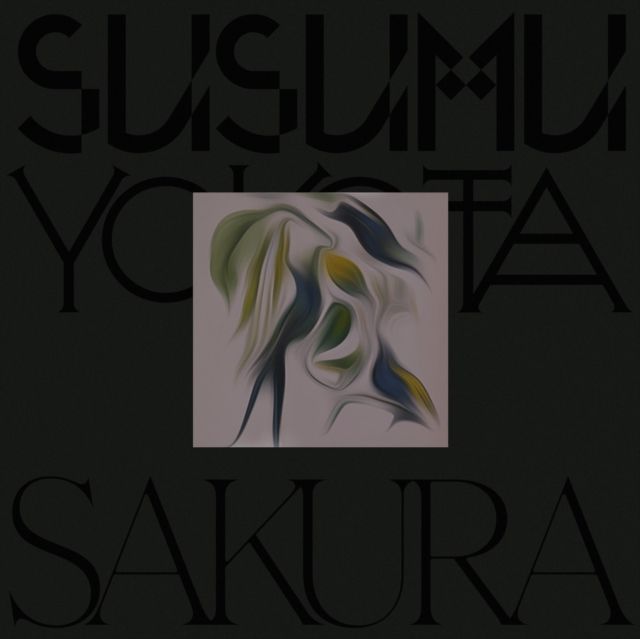 Susumu Yokota