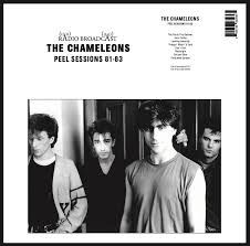 Chameleons