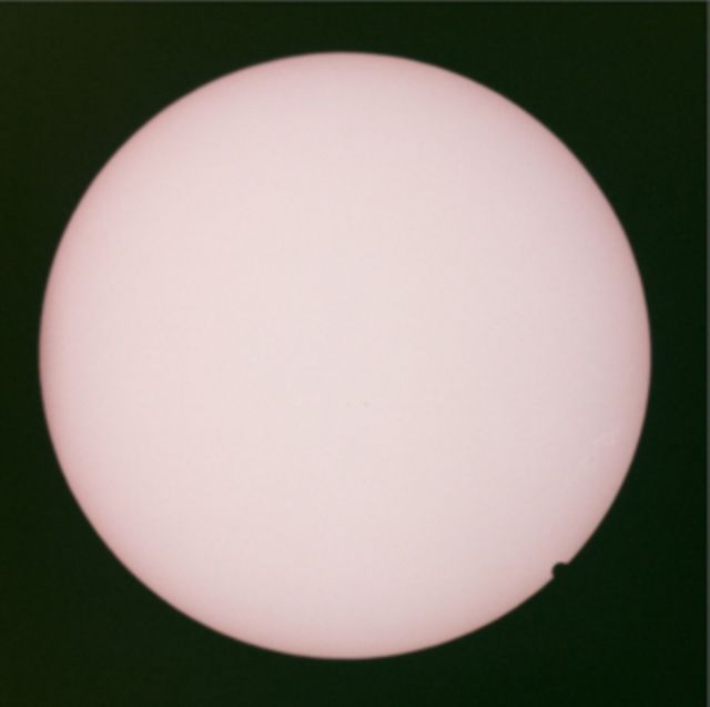 John Maus