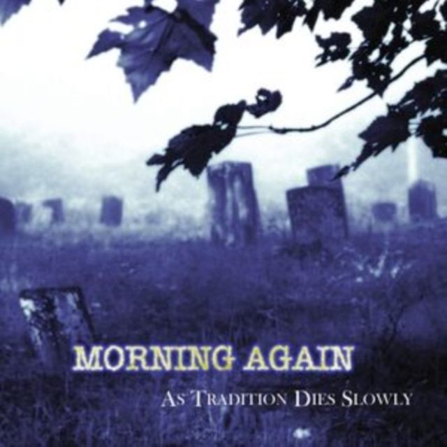 Morning Again