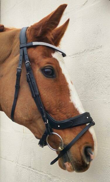 Beautiful soft leather sparkly comfort Bridle. Abbie Edge bridle by M L Equine 