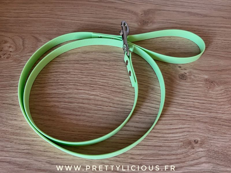 Laisse vert pomme