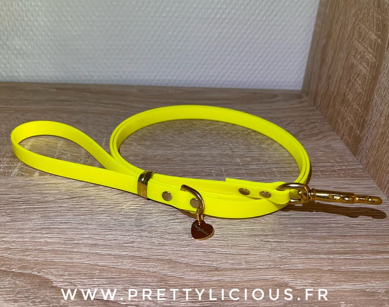 Laisse jaune néon