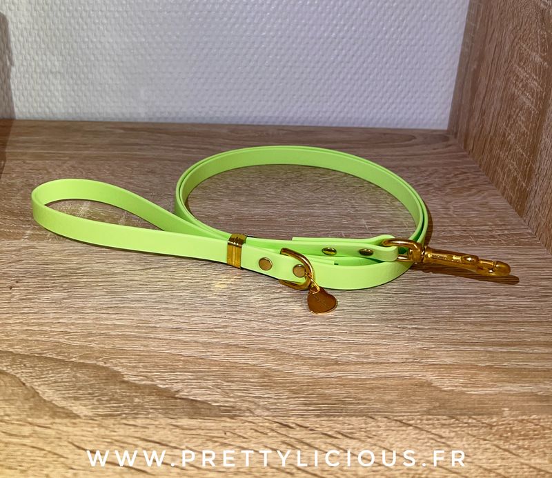 Laisse vert pomme