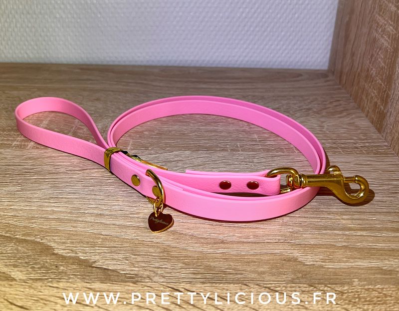 Laisse rose