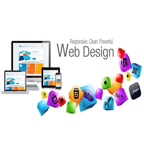 Business Website Packages