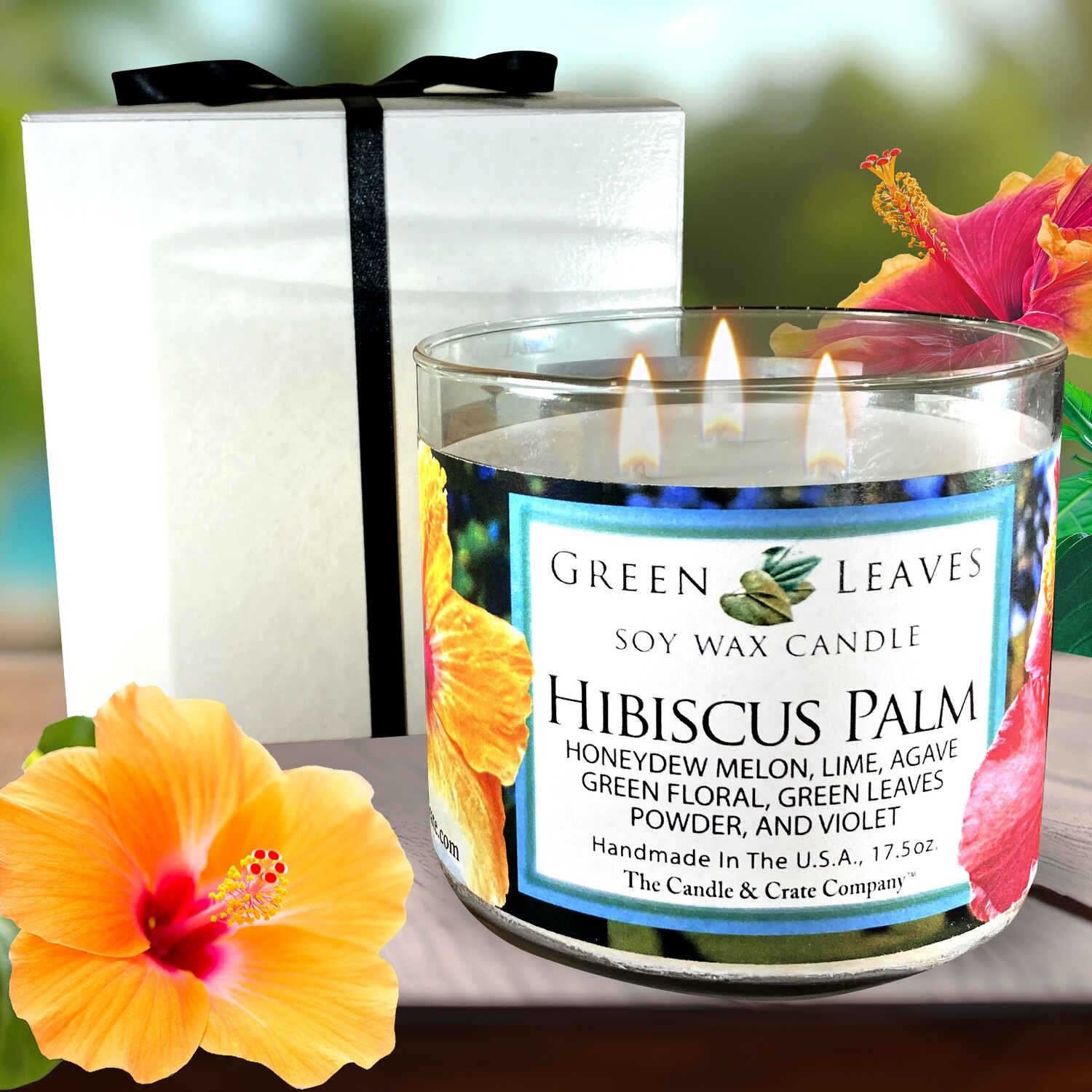 Hibiscus Palm
