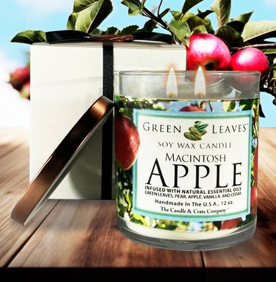 Macintosh Apple Macintosh Apple