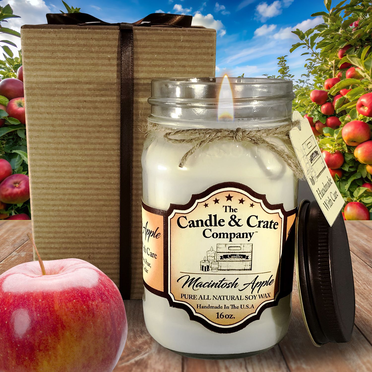 Macintosh Apple