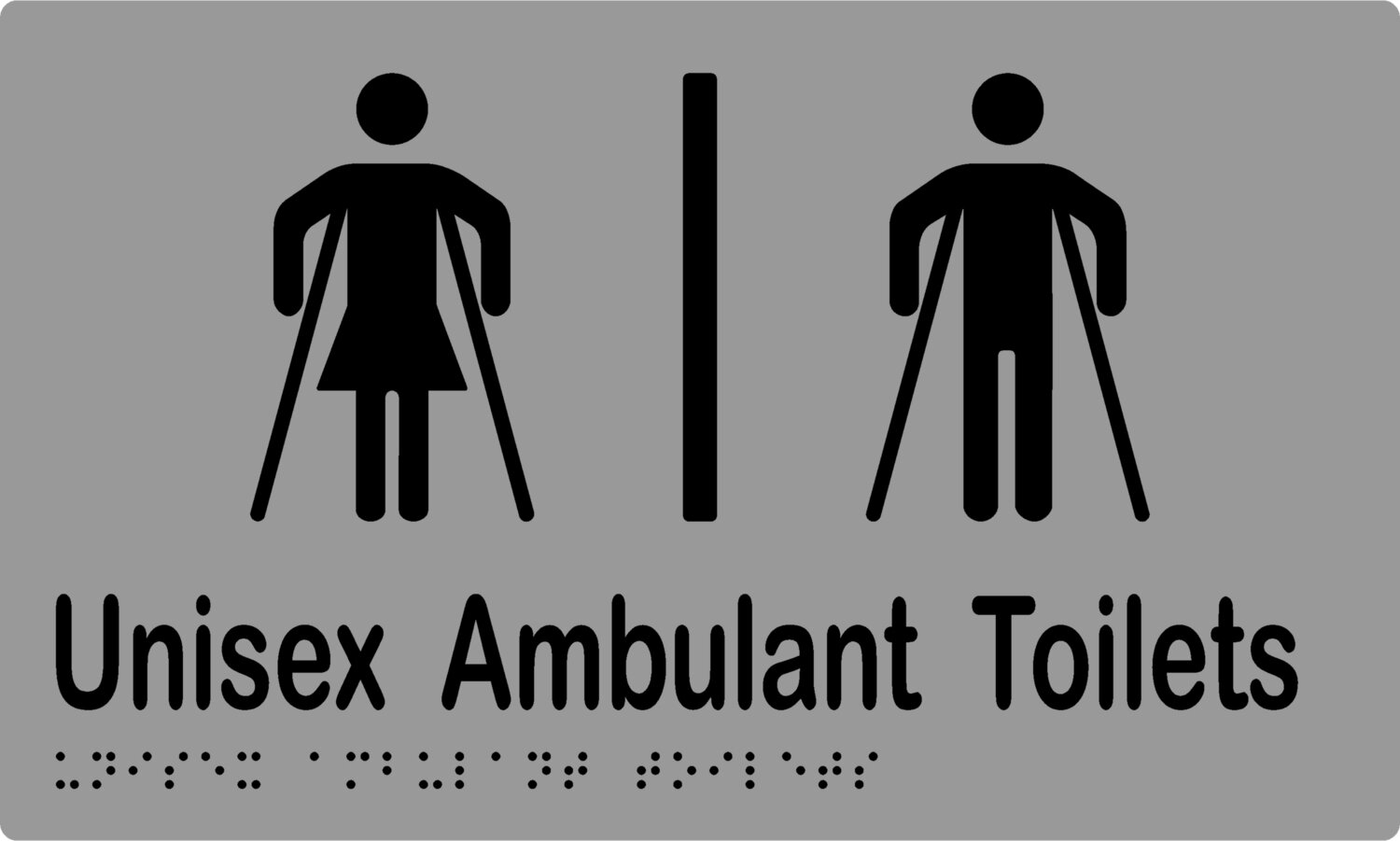 Unisex Ambulant Toilets Airlock Braille Sign Silver/Black (Blue/White Shown)