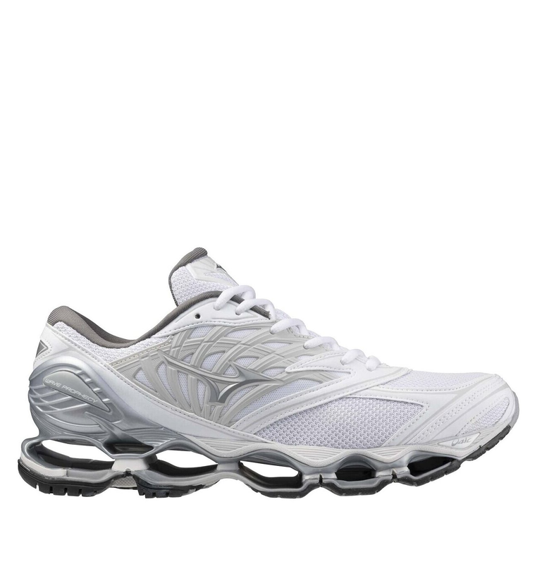 Mizuno Wave prophecy ls