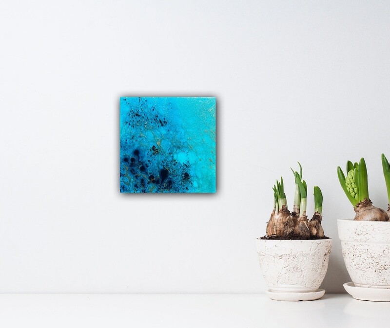 Coral reef Australia #2