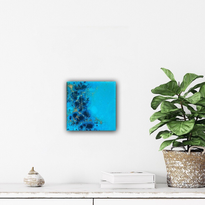 Coral reef Australia #6