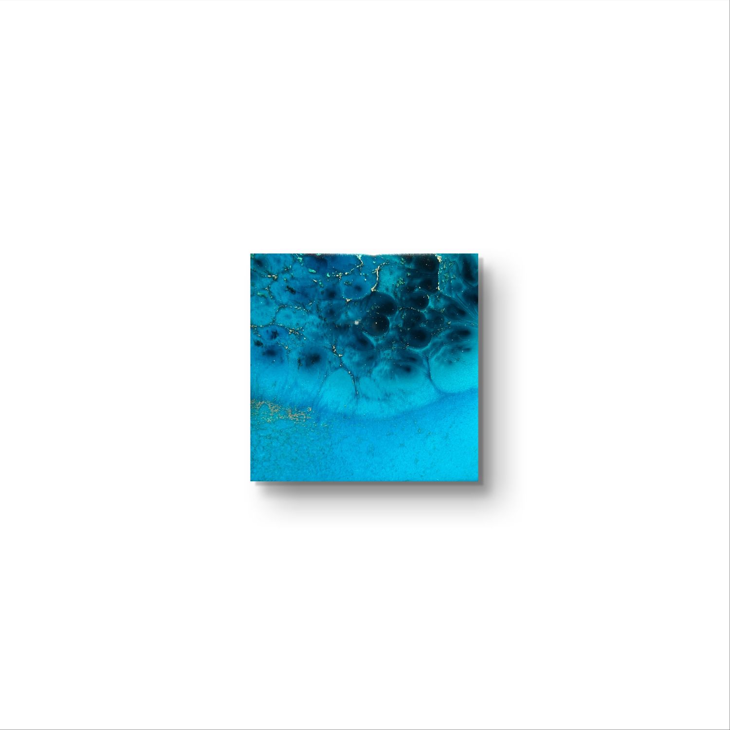 Coral reef Australia #10