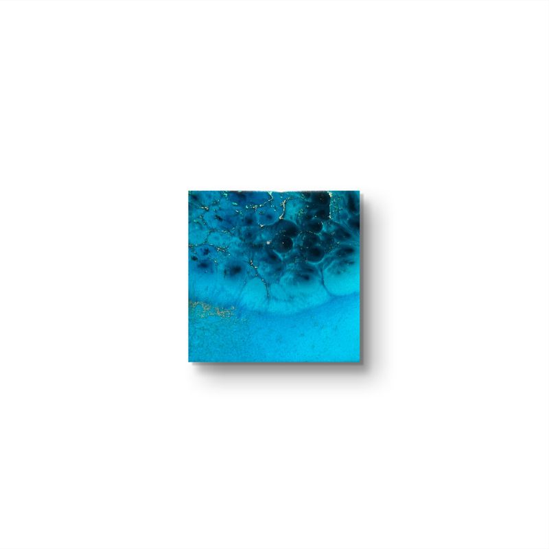 Coral reef Australia #10