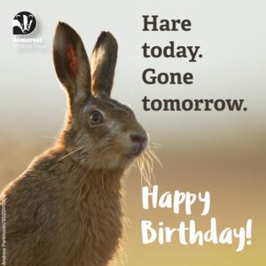 Digital Greetings Cards