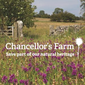 Adopt a Meadow: Supporting Chancellor's Farm Adopt a Meadow: Supporting Chancellor's Farm