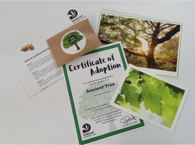 Adopt an Ancient Tree