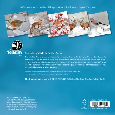 Mixed Photographic 153mm 2026 MIXED pack of 10 cards