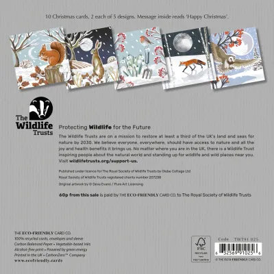 Mixed Art 153mm 2026 MIXED ART pack of 10 cards